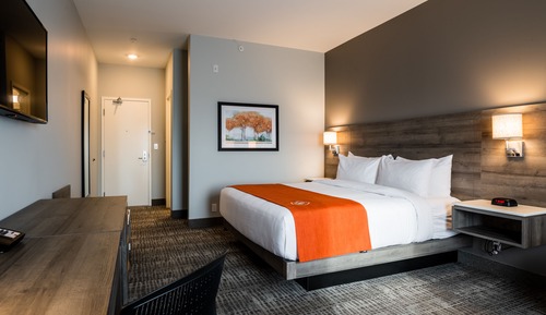 Standard Room, 1 King Bed, Non Smoking