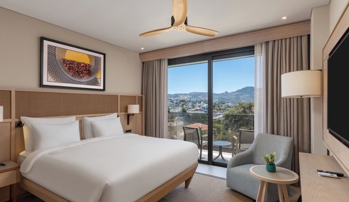 Superior Suite, 1 Double Bed with Sofa bed