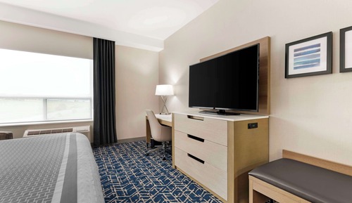 Standard Room, 1 King Bed, Accessible, Bathtub (with Sofabed)