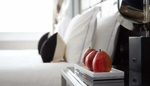 Economy Studio Suite