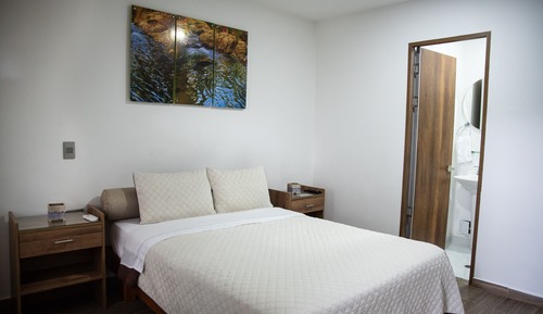 Basic Double Room