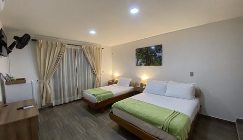 Basic Triple Room