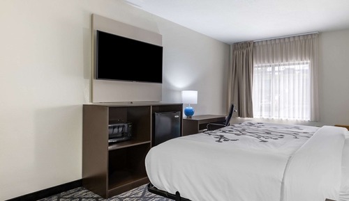 Standard Room, 1 King Bed, Non Smoking