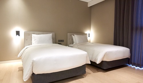 Superior Twin Room (Shower)