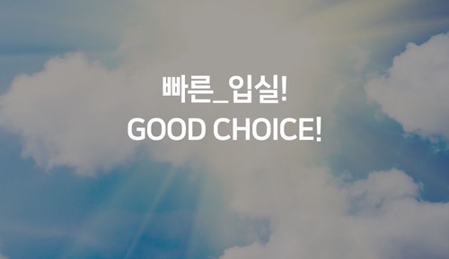 Room (Quick check-in + NETFLIX viewing avai)