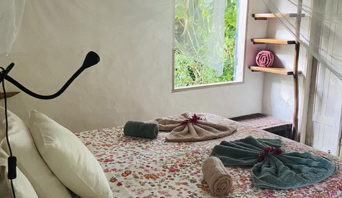 Deluxe Suite, 1 Queen Bed, Allergy Friendly, Garden View