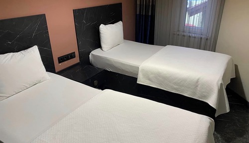 Basic Twin Room