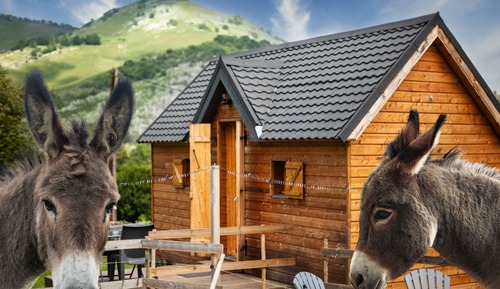 Cabin, Ensuite, Mountain View