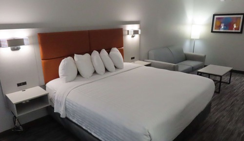 Standard Room, 1 King Bed with Sofa bed, Non Smoking, Refrigerator & Microwave (with Sofabed)