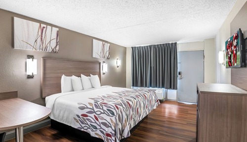 Superior Room, 1 King Bed, Smoking