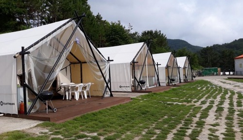 Room (Glamping 6 (No dogs allowed Half Ocea)