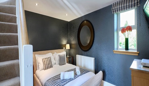 Luxury Studio Suite