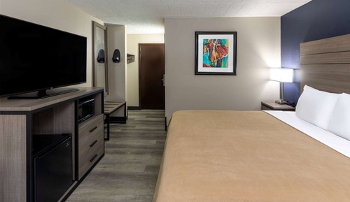 Room, 1 King Bed, Non Smoking