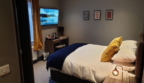 Standard Double Room, 1 King Bed