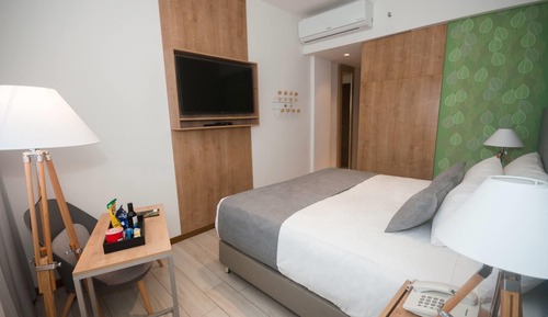 Room, 1 King Bed, Accessible, Non Smoking