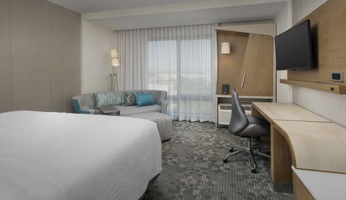Room, 1 King Bed with Sofa bed (Hearing Accessible)