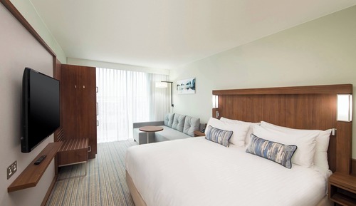 Standard Room, 1 King Bed with Sofa bed, Non Smoking