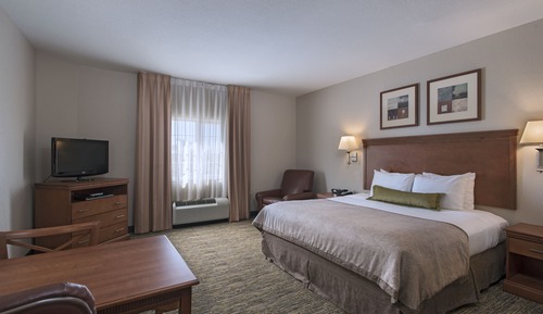 Studio Suite, 1 Queen Bed