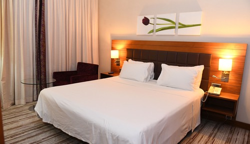 Standard Room, 1 Queen Bed, Accessible