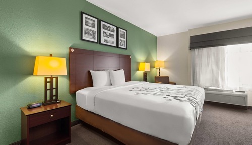Standard Room, 1 King Bed, Non Smoking