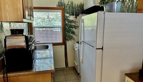 Family Cabin, 1 Bedroom, Mountain View (028)