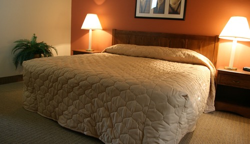 Suite, 1 Queen Bed
