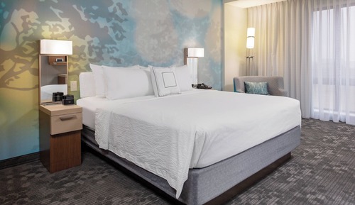 Room, 1 King Bed with Sofa bed (Mobility/Hearing Access, Roll-In Shwr)