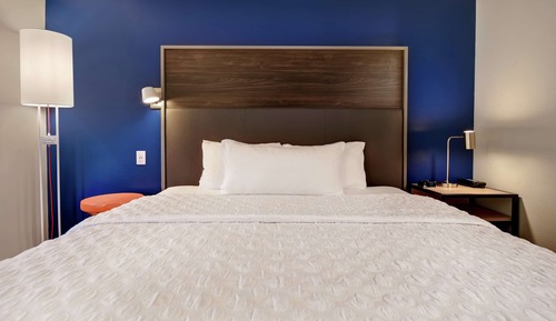Room, 1 King Bed