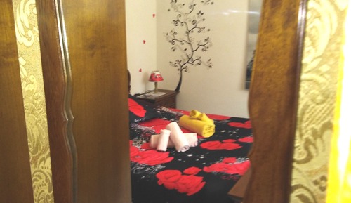 Deluxe Room, Non Smoking, Private Bathroom