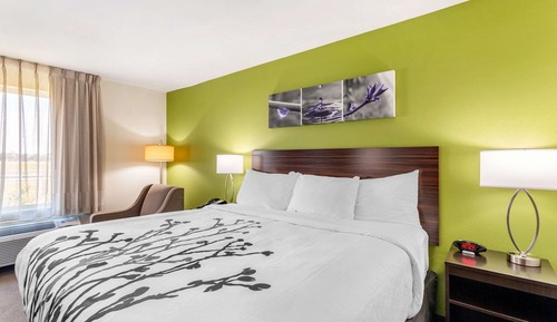 Standard Room, 1 King Bed, Non Smoking