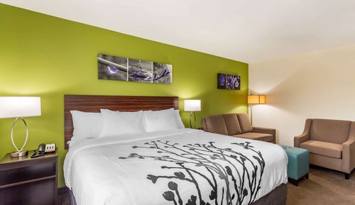 Suite, 1 King Bed with Sofa bed, Non Smoking