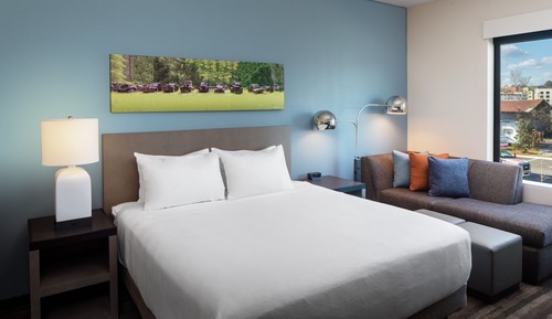 Room, 1 King Bed