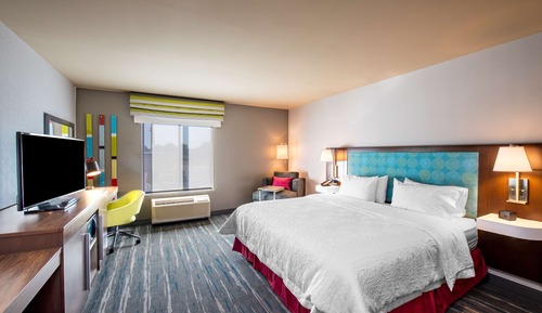 Room, 1 King Bed with Sofa bed, Accessible, Refrigerator & Microwave (Hearing)