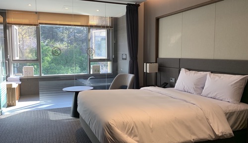 Junior Pool Suite Double Room (Mountain View)