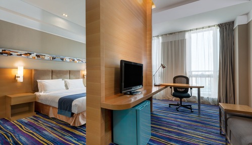 Room, 1 King Bed, Accessible