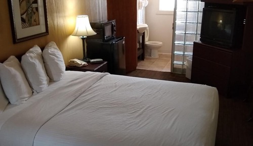 Business Single Room, 1 King Bed