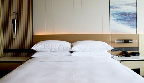 Room, 1 King Bed with Sofa bed
