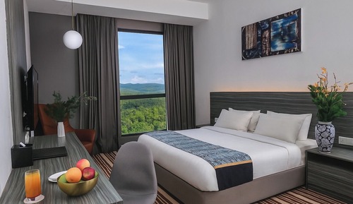 Deluxe Nature View King