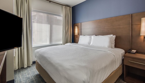 Studio, 1 King Bed with Sofa bed