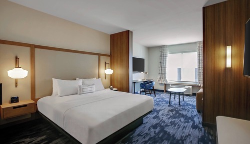Suite, 1 King Bed with Sofa bed