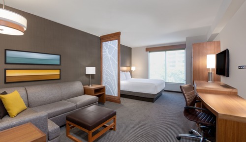 Room, 1 King Bed with Sofa bed (Speciality)