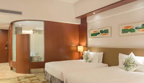 Executive Twin Room