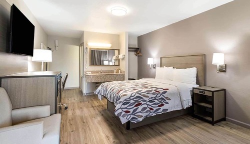 Room, 1 Queen Bed, Non Smoking