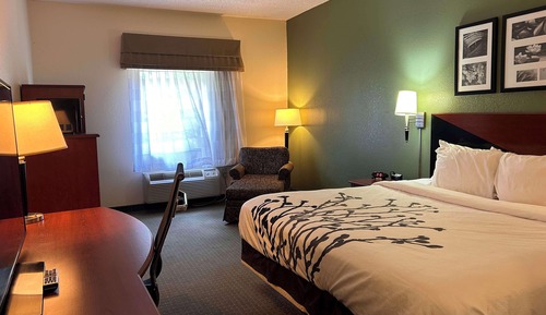 Standard Room, 1 King Bed, Non Smoking (with Sofabed)