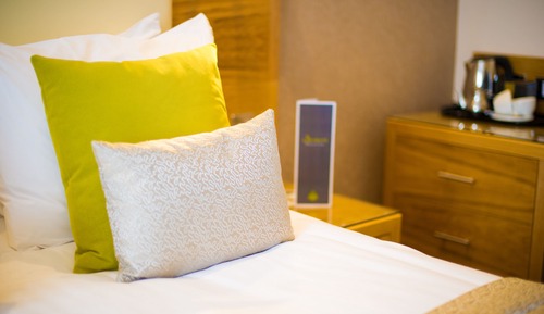 Standard Single Room, 1 Twin Bed