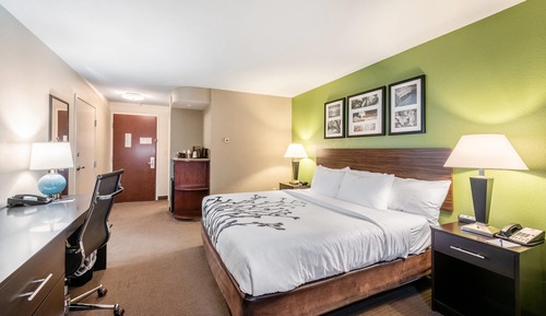 Standard Room, 1 King Bed, Non Smoking
