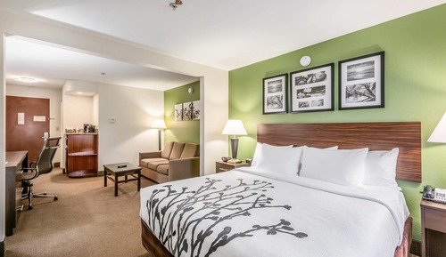 Suite, 1 King Bed, Non Smoking