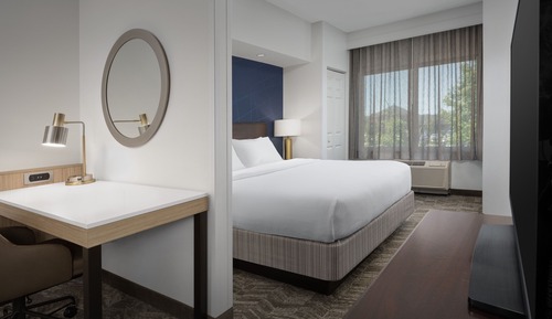 Suite, 1 King Bed with Sofa bed