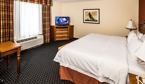 Room, 1 King Bed, Accessible, Bathtub (Mobility)