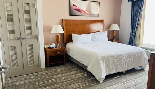Suite, One King Bed
